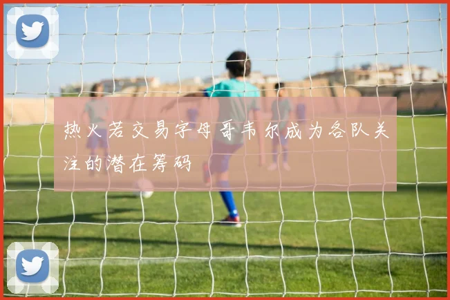 热火若交易字母哥韦尔成为各队关注的潜在筹码