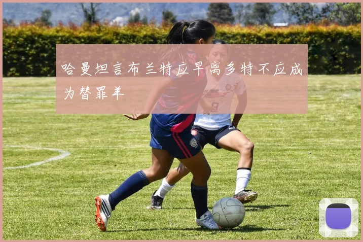 哈曼坦言布兰特应早离多特不应成为替罪羊